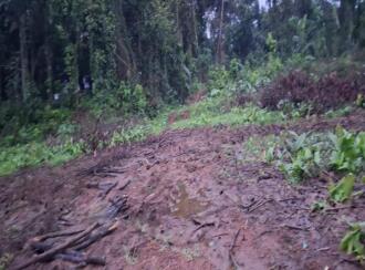 Residential Land for Sale in Ernakulam, Perumbavoor, Allapra, Kuttipadam