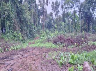 Residential Land for Sale in Ernakulam, Perumbavoor, Allapra, Kuttipadam