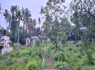 Residential Land for Sale in Ernakulam, Perumbavoor, Allapra, Kuttipadam