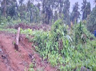 Residential Land for Sale in Ernakulam, Perumbavoor, Allapra, Kuttipadam