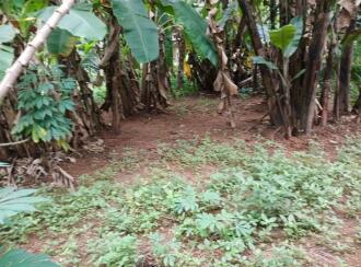 Residential Land for Sale in Ernakulam, Aluva, Aluva, Edappuram, Aluva, Ernakulam
