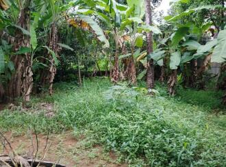 Residential Land for Sale in Ernakulam, Aluva, Aluva, Edappuram, Aluva, Ernakulam
