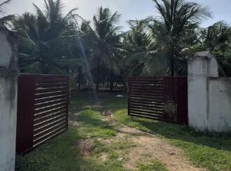 Agricultural Land for Sale in Palakkad, Kollengode, Kollengode, Located on Govindapuram (Chammamampathy Road) Muthalamada