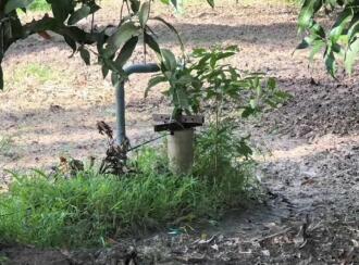 Agricultural Land for Sale in Palakkad, Kollengode, Kollengode, Located on Govindapuram (Chammamampathy Road) Muthalamada