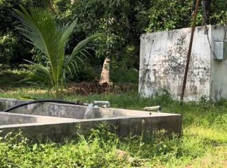 Agricultural Land for Sale in Palakkad, Kollengode, Kollengode, Located on Govindapuram (Chammamampathy Road) Muthalamada