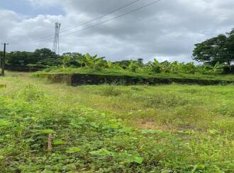 Residential House Villa for Sale in Kottayam, Changanassery, Pathamuttom, Padiyira kadavu