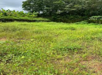 Residential House Villa for Sale in Kottayam, Changanassery, Pathamuttom, Padiyira kadavu