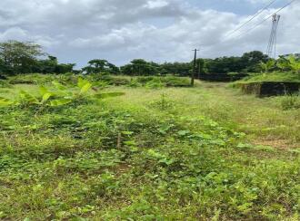 Residential House Villa for Sale in Kottayam, Changanassery, Pathamuttom, Padiyira kadavu