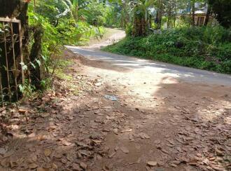 Agricultural Land for Sale in Thrissur, Pattikkad, Chuvannamannu, Vaniyampara