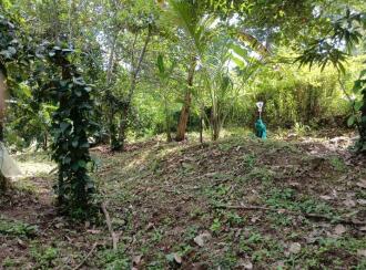 Agricultural Land for Sale in Thrissur, Pattikkad, Chuvannamannu, Vaniyampara