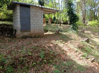 Agricultural Land for Sale in Thrissur, Pattikkad, Chuvannamannu, Vaniyampara