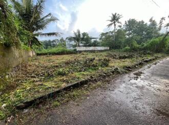 Residential Land for Sale in Thrissur, Chalakudy, Potta, Near Dhanya Hospital