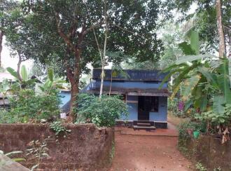 വാസയോഗ്യമായ ഭൂമി വില്പനയ്ക്ക് Calicut, Mavoor, Peruvayal, Cherukulathur
