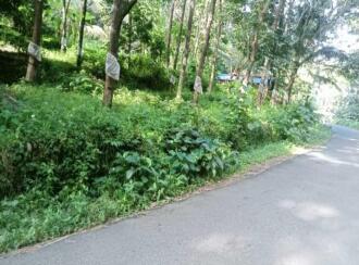 Residential Land for Sale in Thrissur, Thrissur, Madakkathara, Pullakandam road