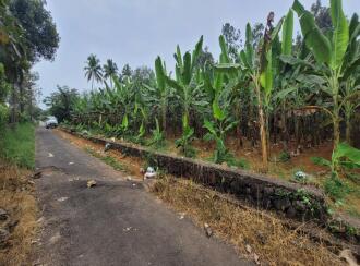 Residential Land for Sale in Ernakulam, Angamaly, Elavoor