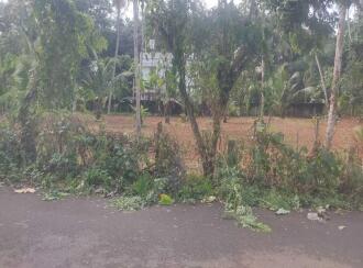 Residential Land for SaleKollam, Chakkuvally, Sooranad south