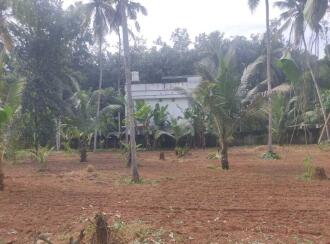Residential Land for Sale in Kollam, Chakkuvally, Sooranad south, Sooranad South Panchayat
