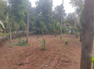Residential Land for Sale in Kollam, Chakkuvally, Sooranad south, Sooranad South Panchayat