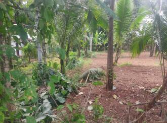 Residential Land for Sale in Kollam, Chakkuvally, Sooranad south, Sooranad South Panchayat
