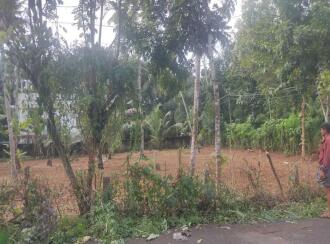 Residential Land for Sale in Kollam, Chakkuvally, Sooranad south, Sooranad South Panchayat