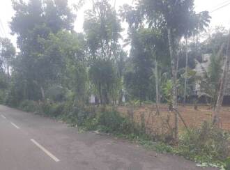 Residential Land for Sale in Kollam, Chakkuvally, Sooranad south, Sooranad South Panchayat