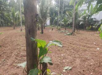 Residential Land for Sale in Kollam, Chakkuvally, Sooranad south, Sooranad South Panchayat
