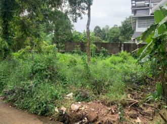 Residential Land for Sale in Kottayam, Kottayam town, Puthuppally, NILAKKAL CHURCH
