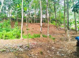 Residential Land for Sale in Trivandrum, Nedumangad, Erinchayam