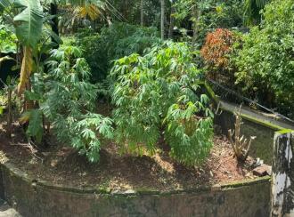 Residential House Villa for Sale in Kozhikode, Calicut, Calicut town, Kunduparambu, Kozhikode