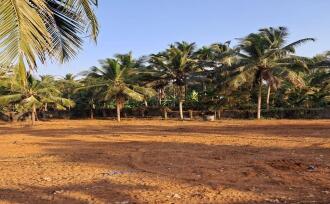 Residential Land for Sale in Kottayam, Ettumanoor, Parolickal, 100 m from M C road