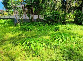 Residential Land for Sale in Alleppey, Chengannur, Pandanad, near Illimala Bridge on the Manar–Chengannur Road,