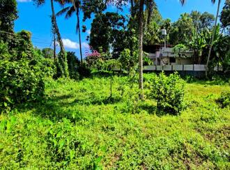 Residential Land for Sale in Alleppey, Chengannur, Pandanad, near Illimala Bridge on the Manar–Chengannur Road,