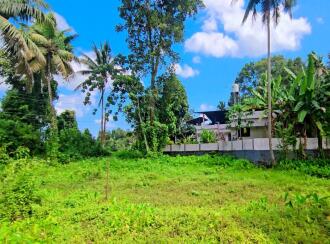 Residential Land for Sale in Alleppey, Chengannur, Pandanad, near Illimala Bridge on the Manar–Chengannur Road,