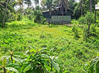 Residential Land for Sale in Alleppey, Chengannur, Pandanad, near Illimala Bridge on the Manar–Chengannur Road,