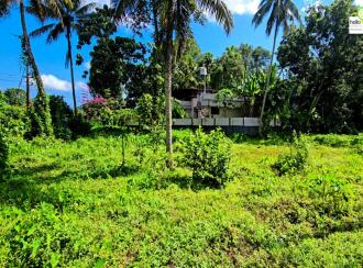 Residential Land for Sale in Alleppey, Chengannur, Pandanad, near Illimala Bridge on the Manar–Chengannur Road,