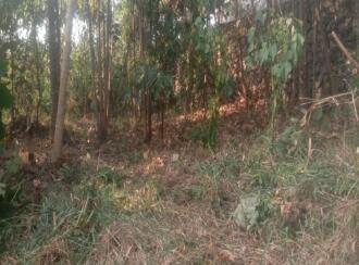 Residential Land for Sale in Kollam, Kottarakkara, Mylom, Poovatoor Devi Temple - 100 m