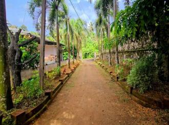Residential House Villa for Sale in Pathanamthitta, Ranni, Ittiyappara , Near Aswini Ayurveda Hospital