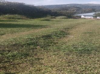Residential Land for Sale in Idukki, Nedumkandam, Udumbanchola, Chathiranga Village
