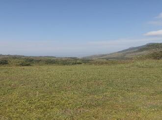 Residential Land for Sale in Idukki, Nedumkandam, Udumbanchola, Chathiranga Village