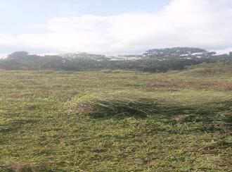 Residential Land for Sale in Idukki, Nedumkandam, Udumbanchola, Chathiranga Village