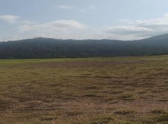 Residential Land for Sale in Idukki, Nedumkandam, Udumbanchola, Chathiranga Village