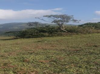 Residential Land for Sale in Idukki, Nedumkandam, Udumbanchola, Chathiranga Village