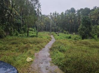 Residential Land for SaleTrivandrum, Thiruvananthapuram, Pangappara