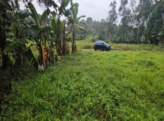 Residential Land for Sale in Trivandrum, Thiruvananthapuram, Pangappara, Rani Maria convent & Convention centre