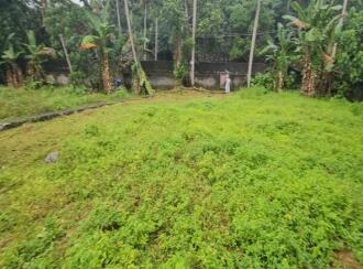 Residential Land for Sale in Trivandrum, Thiruvananthapuram, Pangappara, Rani Maria convent & Convention centre