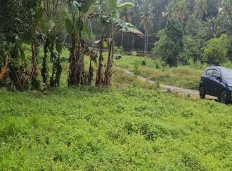 Residential Land for Sale in Trivandrum, Thiruvananthapuram, Pangappara, Rani Maria convent & Convention centre