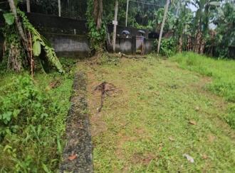 Residential Land for Sale in Trivandrum, Thiruvananthapuram, Pangappara, Rani Maria convent & Convention centre