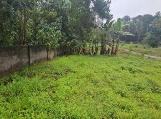 Residential Land for Sale in Trivandrum, Thiruvananthapuram, Pangappara, Rani Maria convent & Convention centre