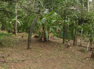 Residential Land for Sale in Kozhikode, Kozhikode, Kozhikode, chembanod alampara road