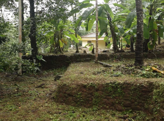 Residential Land for Sale in Kozhikode, Kozhikode, Kozhikode, chembanod alampara road